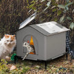 Cat house with two cats interacting outdoors