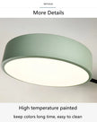 Green ceiling light fixture on a white background with text about high temperature paint.