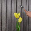 Hand holding a fork with tines touching a yellow tulip against a striped background