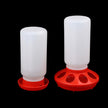 Two plastic poultry feeders with red bases on a black background