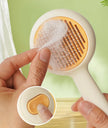 Hand holding a white grooming brush with a close-up inset showing the bristle head.