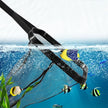 Fishing net with fish underwater, surrounded by aquatic plants and fish.