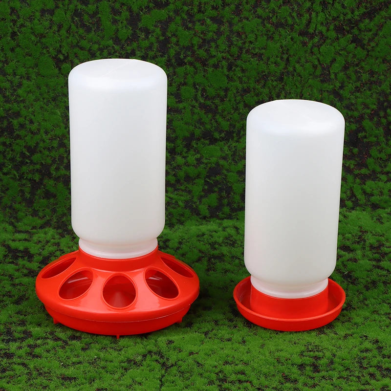 Two white plastic feeders with red bases on a green grass background