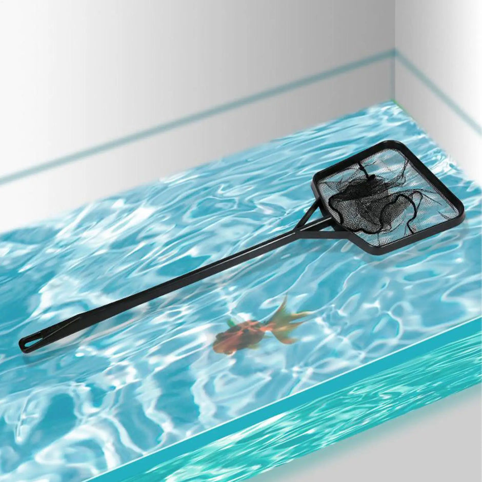 Black fish net being used to scoop a goldfish out of a pool.