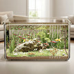 Fish tank with plants and fish on a table