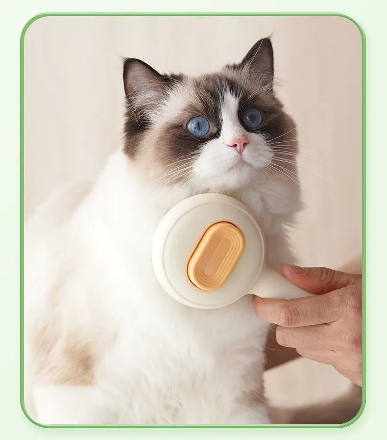 Cat holding a white toy with a yellow center, being held by a person.