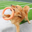 Dog playing with an orange frisbee on a sports field