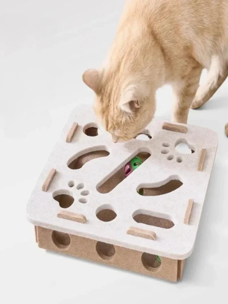 Cat playing with a cardboard puzzle toy on a light background