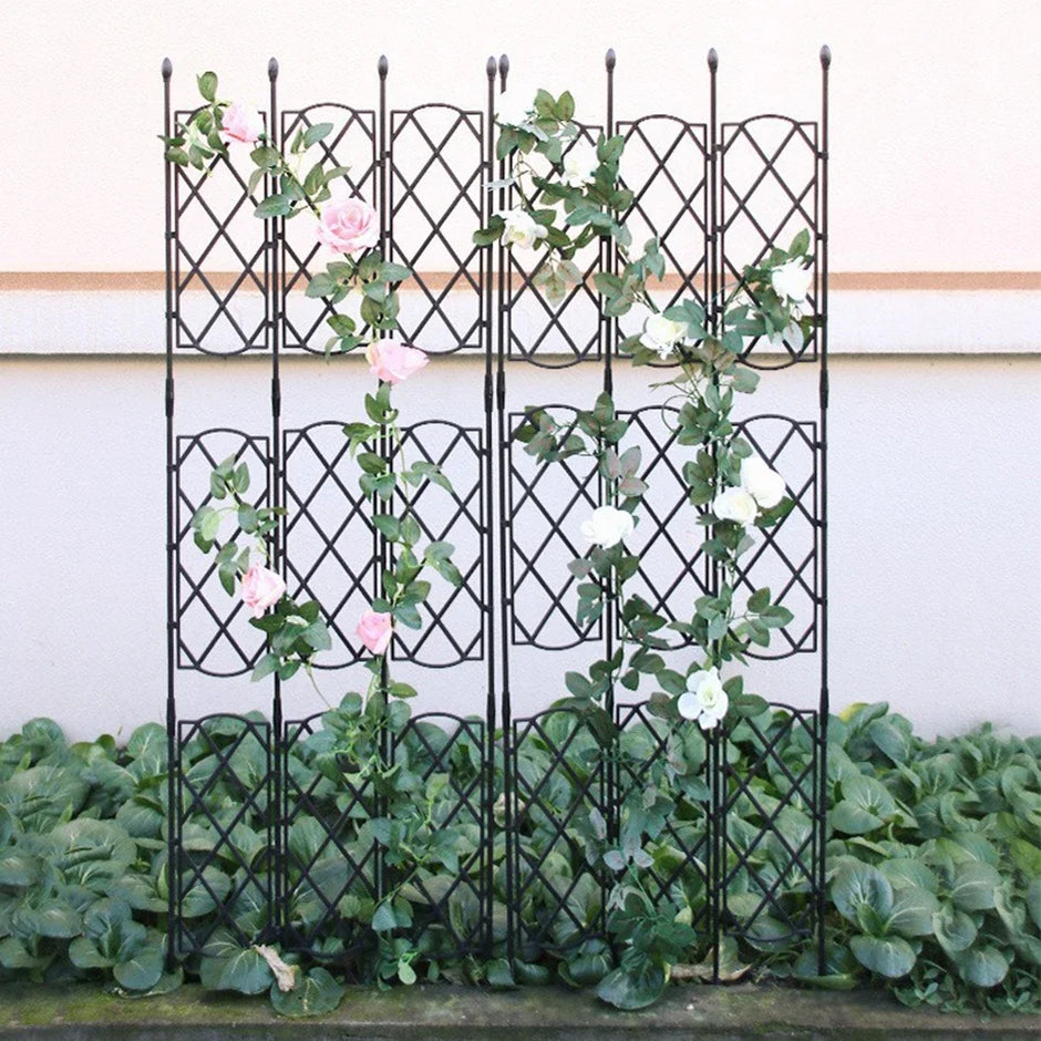 Black metal garden trellis with climbing plants against a white wall.