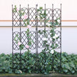 Black metal garden trellis with climbing plants against a white wall.