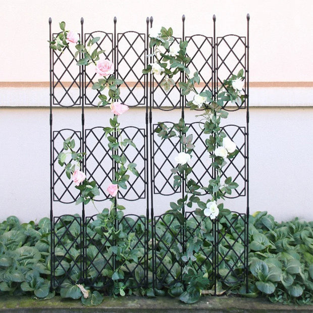 Black metal garden trellis with climbing plants against a white wall.