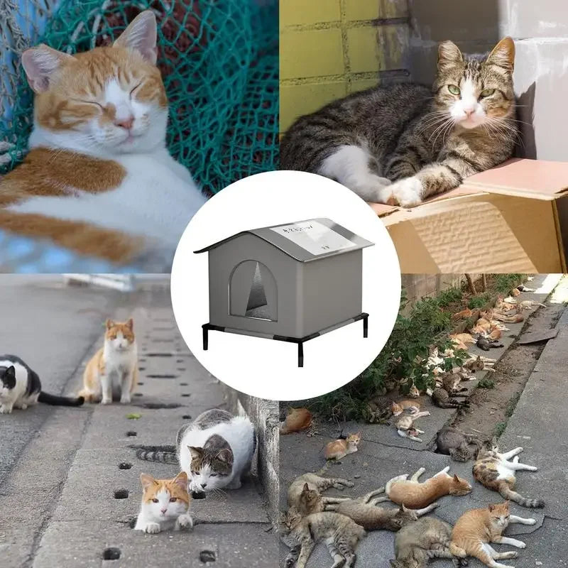 Collage of cats in various settings with a central focus on a cat house.