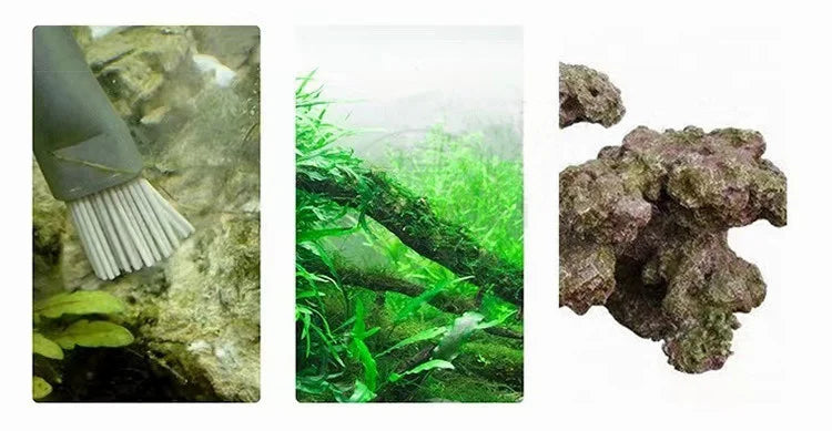 Aquarium cleaning brush, green plants, and decorative rock on a white background