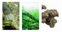 Aquarium cleaning brush, green plants, and decorative rock on a white background