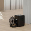 Cat sitting next to a black pet feeder on a wooden floor.