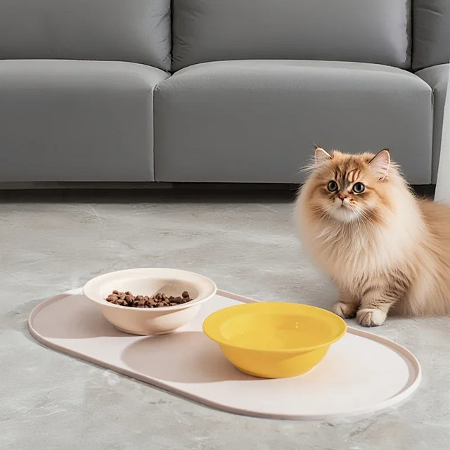 Cat sitting on a floor with two bowls, one white and one yellow, in front of a gray sofa.