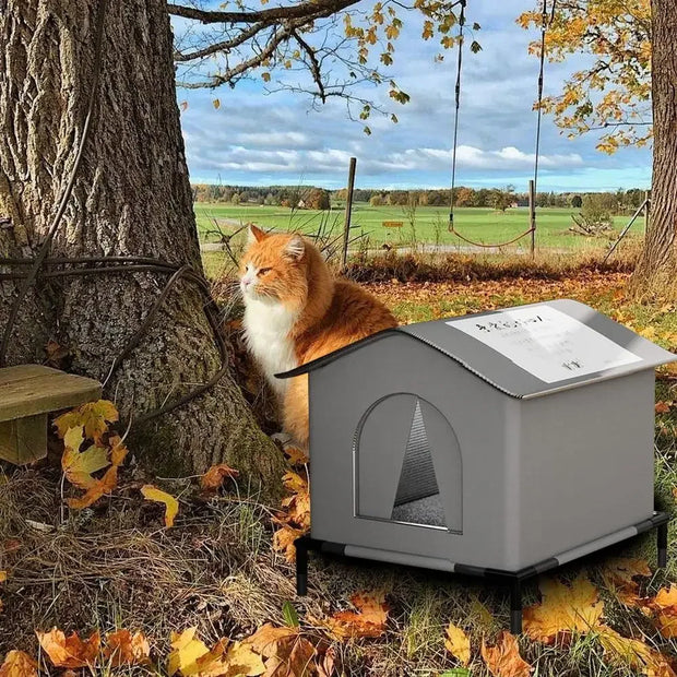 Cat sitting next to a gray pet house in an outdoor setting with trees and grass.