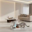Pet feeding and water station with transparent water container and food compartment on a gray background