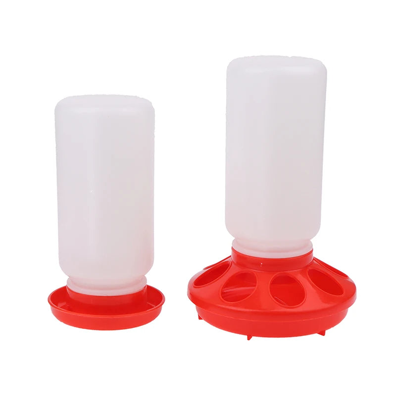 Two poultry feeders with red bases on a white background