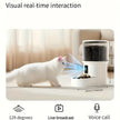 White cat interacting with a device on a light-colored surface, with text about visual real-time interaction.