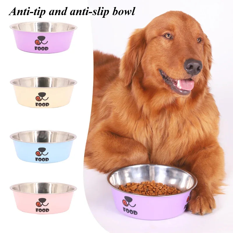 Dog with a pink anti-tip and anti-slip bowl, surrounded by other bowls on a white background.