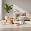Pink pet bowl with paw prints containing dog food on a pink background