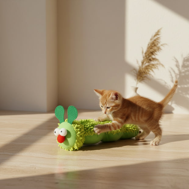 Cat playing with a green caterpillar-shaped toy on a white background