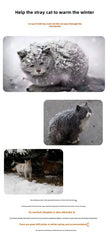 Stray cat covered in snow with text encouraging help for animals during winter.