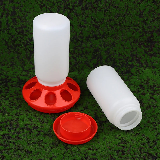 Poultry feeder and drinker set with red base and white containers on a green background