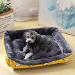 Dog lying on a gray pet bed with yellow border in a room setting.