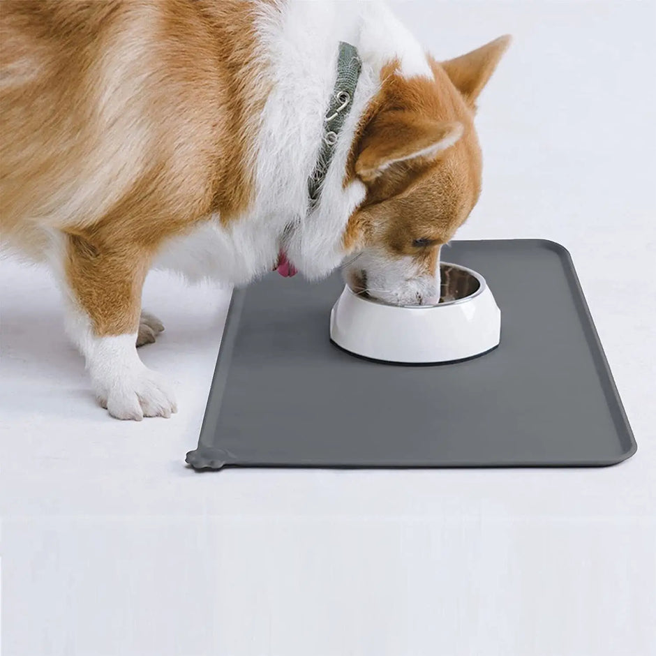 Dog drinking from a bowl on a gray mat with a white background