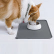 Dog drinking from a bowl on a gray mat with a white background