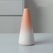 Gradient ceramic vase on a neutral background