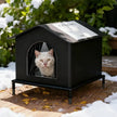 Black cat house with a cat peeking out, set against a snowy outdoor background.