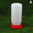 White plastic feeder with red base on a green grass background