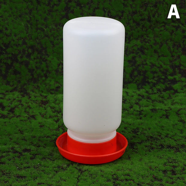 White plastic feeder with red base on a green grass background