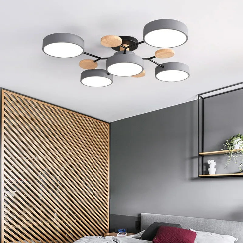 Modern ceiling light fixture in a bedroom with wooden accents