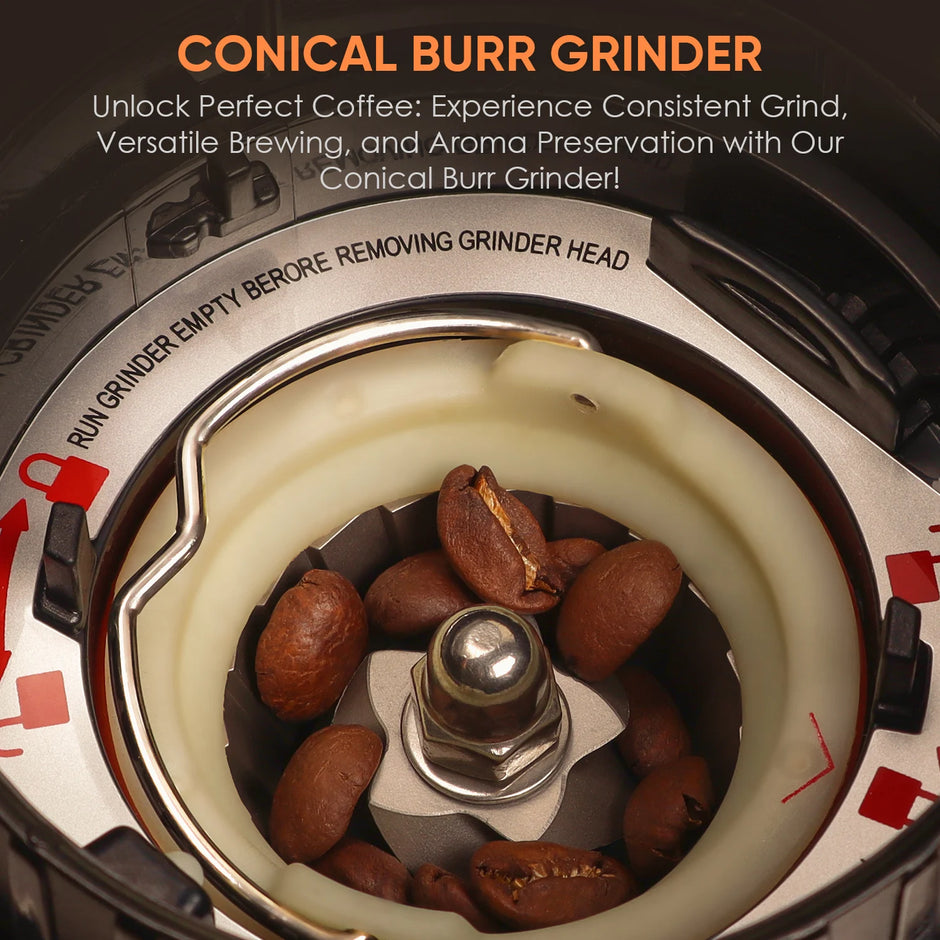Conical burr grinder with coffee beans inside, highlighting its design and functionality.
