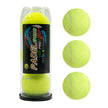 PADEL sports tennis balls in a clear tube with additional balls displayed on a white background