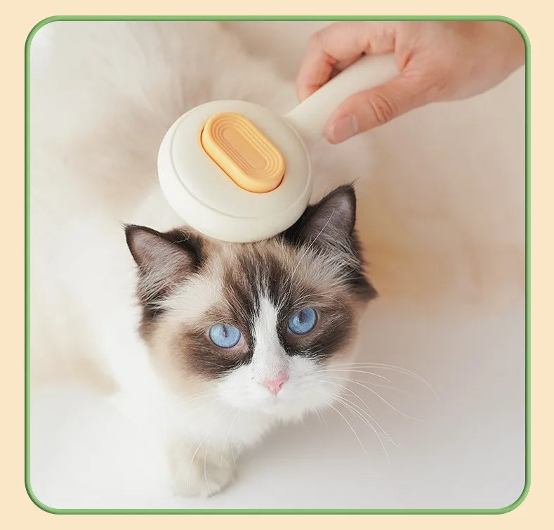 Cat being groomed with a pet grooming brush on a light background