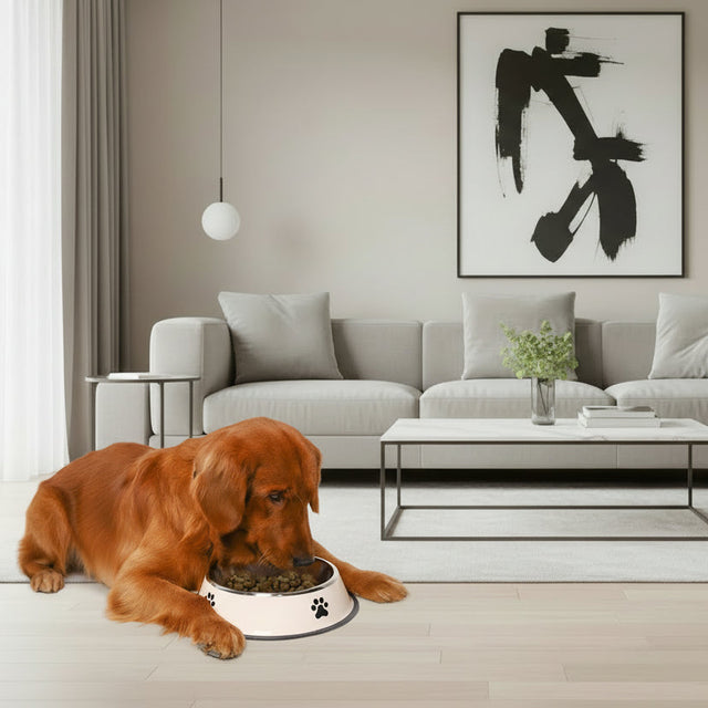 Dog eating from a bowl of kibble on a white background