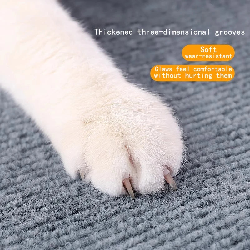 Dog paw on a textured gray carpet with text about claw comfort and material properties.
