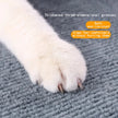 Dog paw on a textured gray carpet with text about claw comfort and material properties.