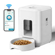 White pet feeder with a bowl of kibble and a smartphone displaying app interface on a white background