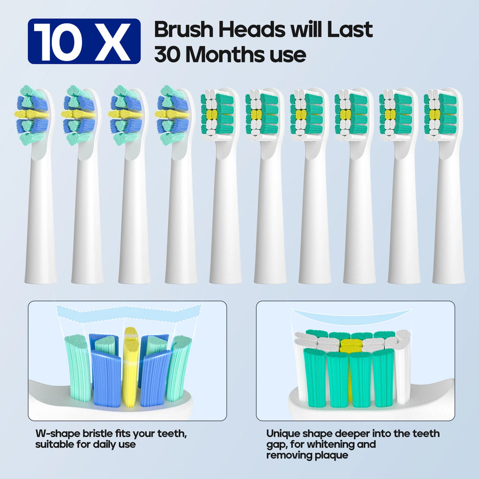Set of toothbrush heads with text indicating their longevity and features.