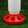 Red plastic chicken feeder with a white container on a green grass background