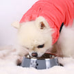 White dog wearing a red coat eating from a gray bowl on a white background