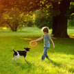 Child playing with a dog in a grassy field, with text about popular dog interactive toys abroad.