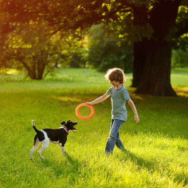 Child playing with a dog in a grassy field, with text about popular dog interactive toys abroad.