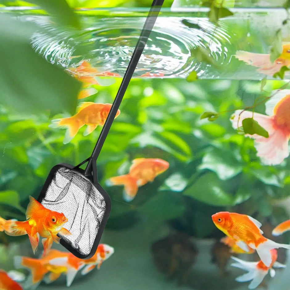 Fish net skimmer in an aquarium with goldfish and green plants